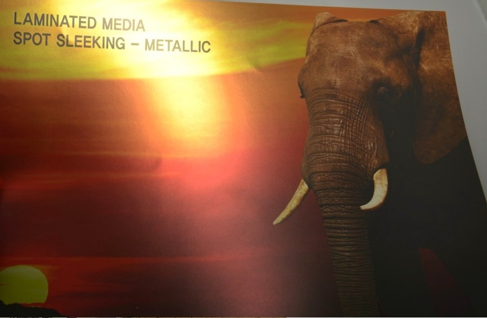 пленка GMP Silver Media.jpg пленка GMP Silver Media.jpg