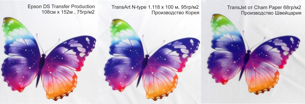 тест бабочки2.jpg