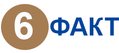 6.png 6.png