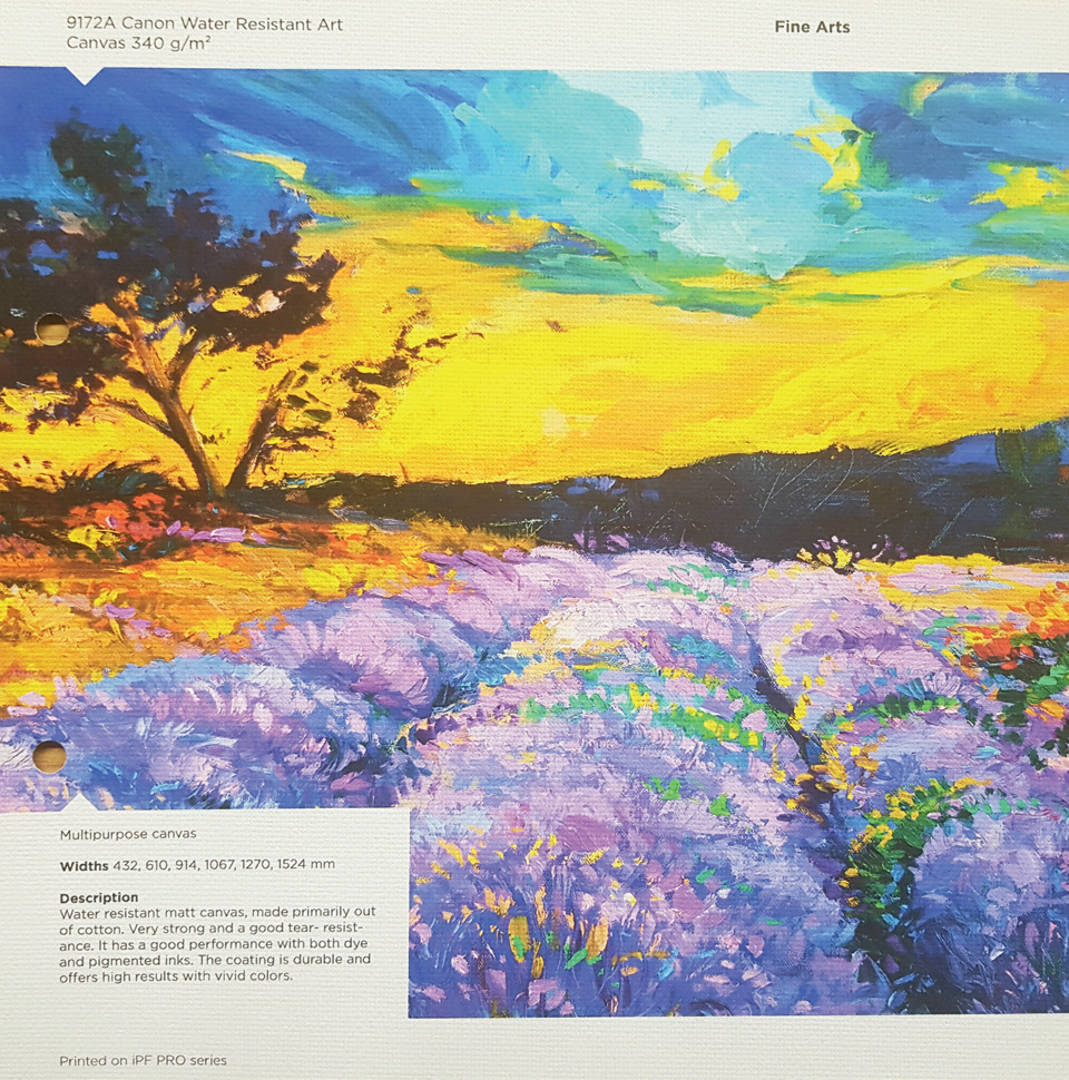 Water Resistant Art Canvas