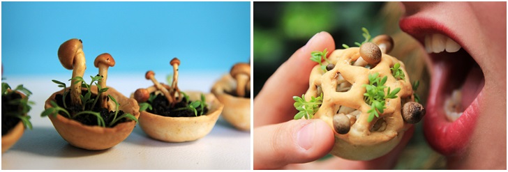 Edible Growth