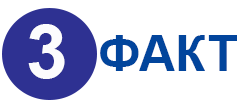 3.png 3.png
