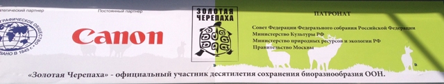 Золотая черепаха - 2