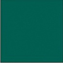 Пластик Rowmark ADA 321-901 (1,5x1238x610 мм) Зеленый