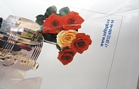 Выборочноое глянцевание с помощью пленки FUSING FOIL GLOSS