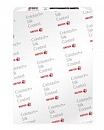 003R90368 Бумага Xerox COLOTECH Silk A3 250г