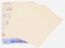 003R95956 Xerox Colotech+ Natural White A4, 160 г